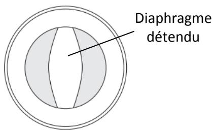 ZODIAC R3 T3 B3 - Retendre le diaphragme - 1