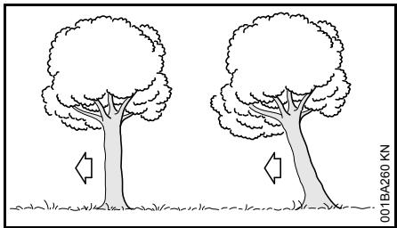 STIHL MSE 170 C, 190 C, 210 C, 230 C - Choix de la méthode de coupe d'abattage ajusté - 1