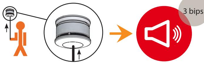 LIFEBOX DETC32BNF, DETC32BNF2 - Outillage nécessaire - 14