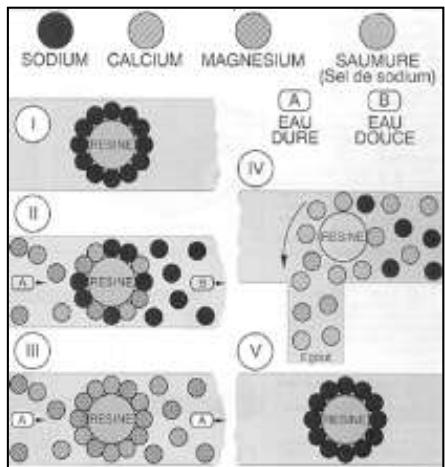 APIC Callisto - Fonctionnement d'un adoucisseur - 1