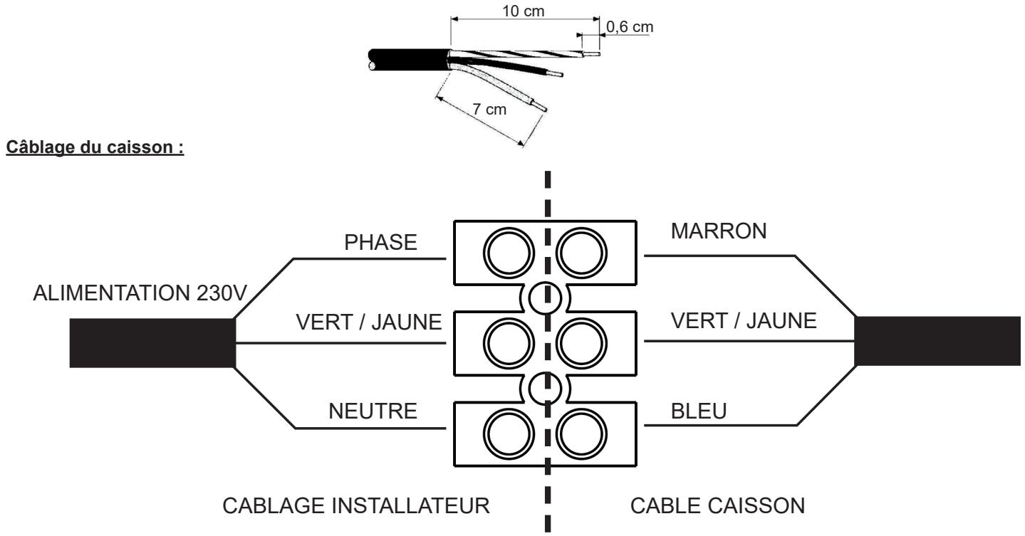 SAUTER PANEGA - AVANT TOUTE OPERATION, DECONNECTER L'APPAREIL DU RESEAU ET S'ASSURER QUE L'ALIMENTATION NE POT PAS ÉTRE RETABLIE ACCIDENTELLEMENT. - 1