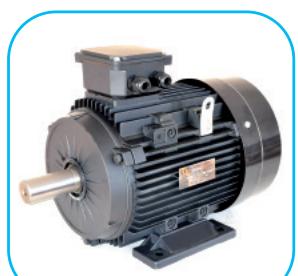 PRODIF FF035310200 - 270 L 5.5 CV - 8