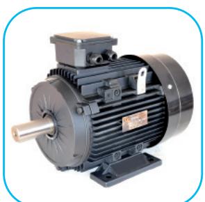 PRODIF FF052511300 500 L 7.5 CV - technical information - 7