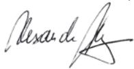 AEG WS 9-100, WS 9-115, WS 9-125, WS 11-115, WS 11-125, WS 12-125 XE - CE-IZJAVA O KONFORMNOSTI - 2
