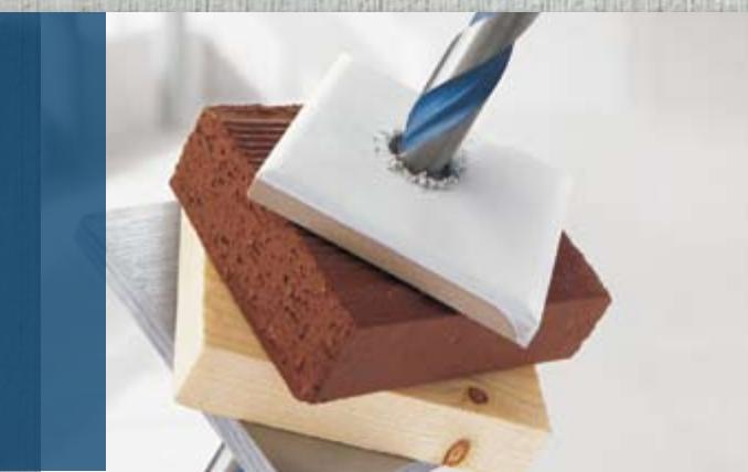 BOSCH GWS 24-230 - GSB 16 RE Professional : - 2
