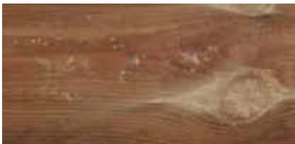 UBBINK RECTANGULAIRE L.4.5 X L.2.5 X H.1.4 M - Hout is een natuurlijk blijvend materiaal - 5