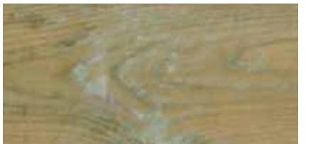 UBBINK RECTANGULAIRE L.4.5 X L.2.5 X H.1.4 M - Hout is een natuurlijk blijvend materiaal - 6