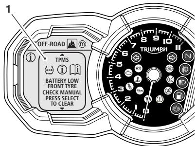 TRIUMPH Explorer XCx LRH - 2018 - Piles des capteurs - 1