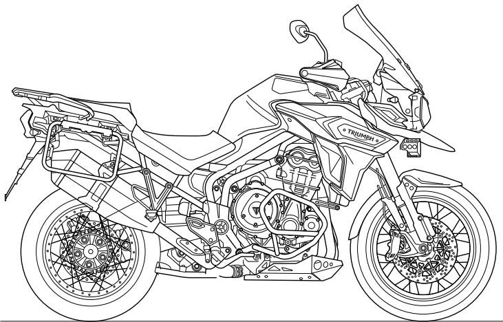 TRIUMPH Explorer XRx - 2018 - Explorer - Tous modèles - 1