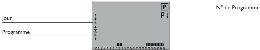 DELTACALOR ASYMETRIQUE - Mode programme P - 1