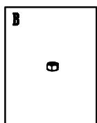 BARBECOOK OSKAR S - Oskar M - 24