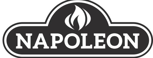 NAPOLEON GRILLS RODEO PRO22K - GRILL AU CHARBON DE BOIS POUR L'EXTÉRIEUR - 1