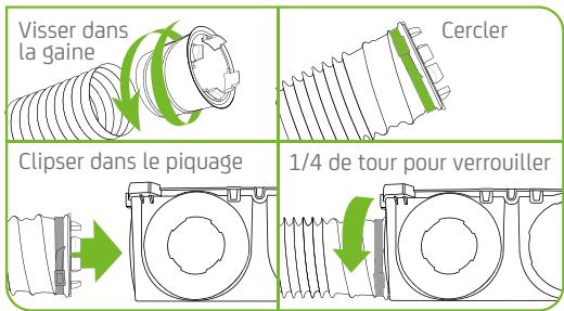 SAUTER AGALINA EXTRA PLAT - REJET - 1