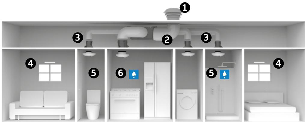 SAUTER AGALINA EXTRA PLAT - D - SCHEMA DE PRINCIPLE D'INSTALLATION - 1