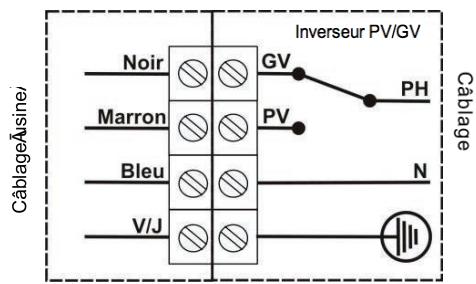S&P LUNA-S3 - BRANCHEMENT ELECTRIQUE - 2