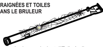 CHAR BROIL GRILL2GO X200 - ALERTE AUX ARAIGNÉES ! - 1
