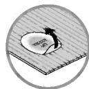 PALRAM Oasis - Montage de la fenêtre - 1