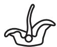 ABC DESIGN Tulip i-Size - Instructions for use - 1