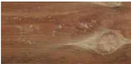 UBBINK L.450 X L.2.5 X H.1.4 M - Hout is een natuurlijk blijvend materiaal - 2