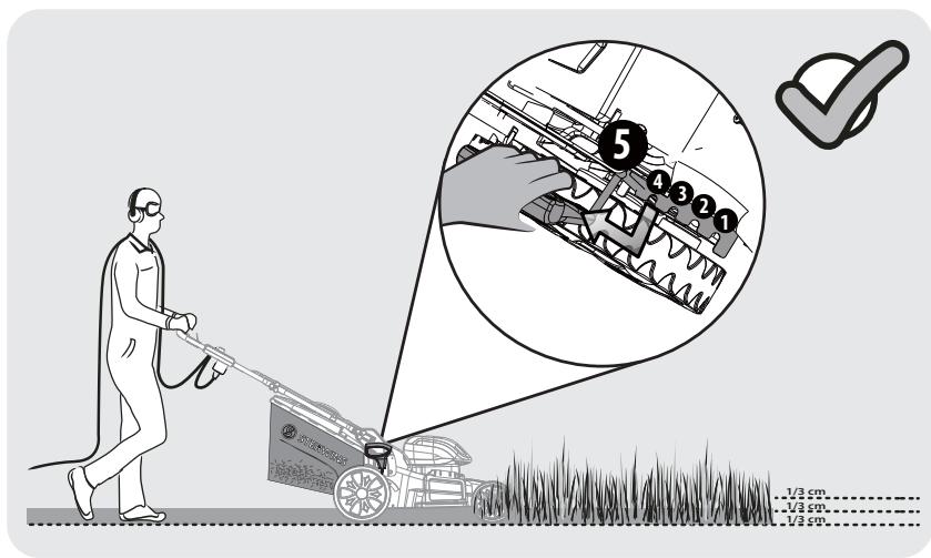 STERWINS 2-46sp - 2 - 8