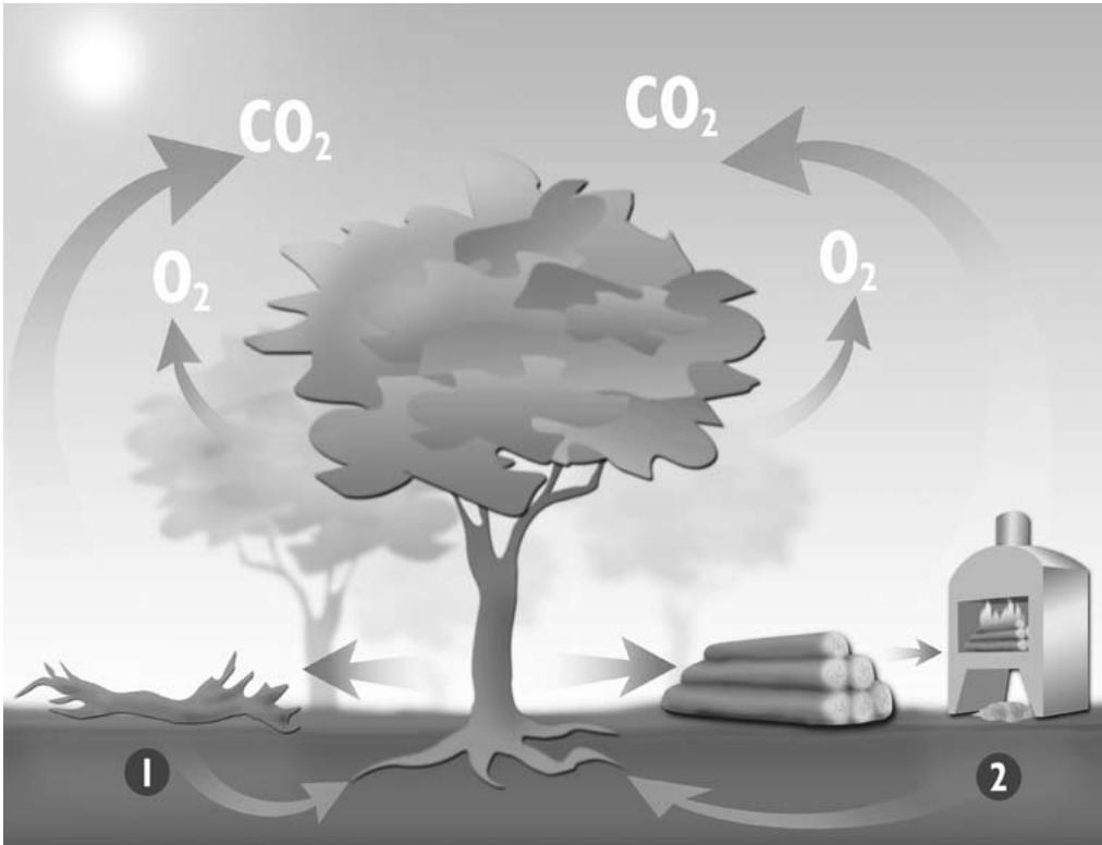 PANADERO GOURMET ECODESIGN - 1