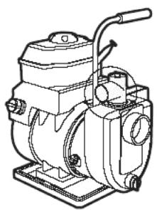 SPIDO T415 - 2814 - Sortie d'eau - 1
