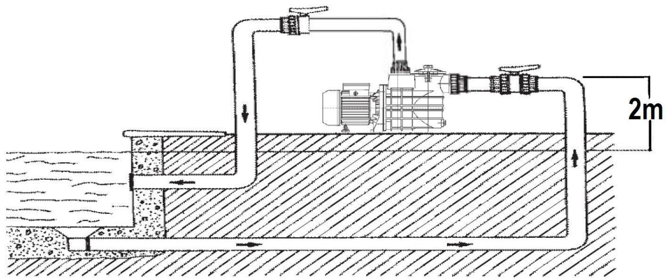 RIBIMEX SWIM 370 RIBIMEX - Remarques : - 1