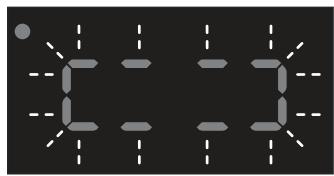 TRAEGER RANGER - INITIAL FIRING INSTRUCTIONS - 5