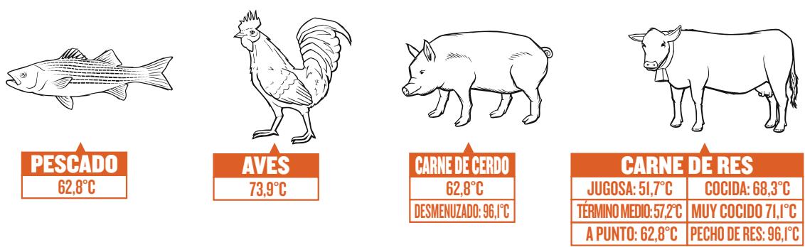 TRAEGER IRONWOOD D2-650 - GUIA DE TEMPERATUREA INTERNA - 1