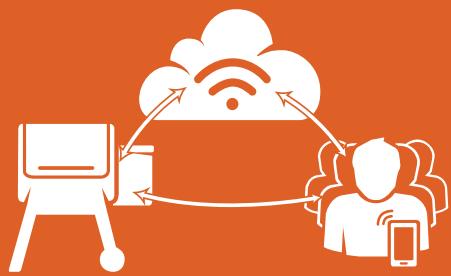 TRAEGER IRONWOOD D2-650 - RECIPIES - 1