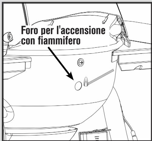 CHAR BROIL CONVECTIVE 210 B - 19609080 & 19609080A1 19609170 & 19609170A1 - Non sporgersi supra il barbecue durante l'accensione. - 1