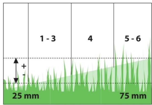 HYUNDAI HTDT561ES-A - 196 CM³ 56 CM - CHARGE DE LA BATTERIE - 2