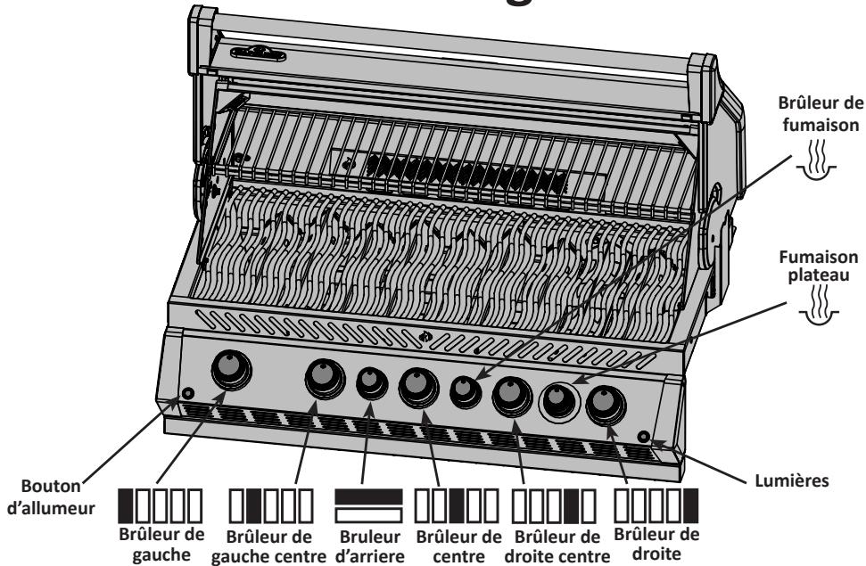 NAPOLEON GRILLS BIPRO 665 - Instruction D'allumage - 1