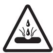NAPOLEON GRILLS BIPRO 665 - (Record information here for easy reference) - 3