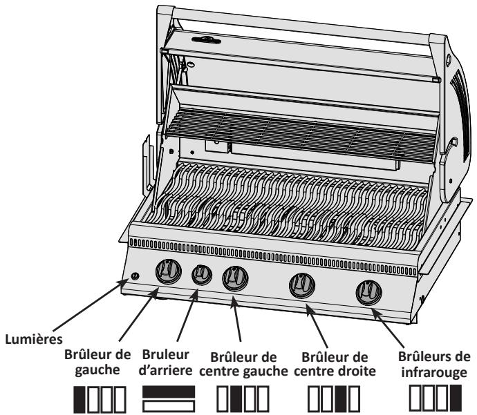 NAPOLEON GRILLS BILEX 485 - Instruction D'allumage - 1
