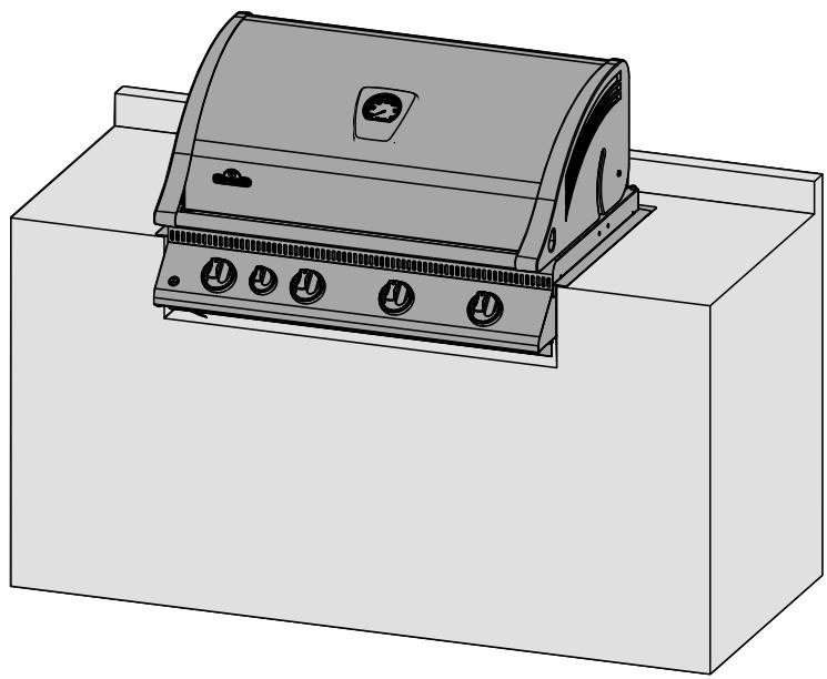 NAPOLEON GRILLS BILEX 485 - DE MODELE - 1