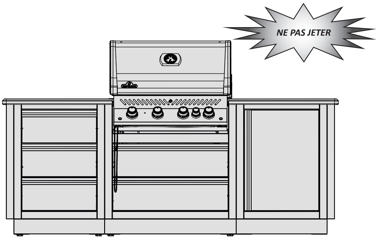 NAPOLEON GRILLS BIPRO 500 - NAPOLEON - 2