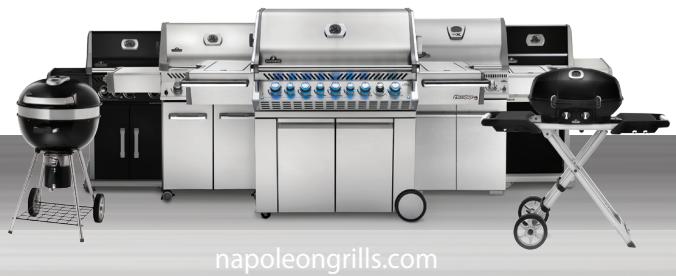 NAPOLEON GRILLS TRAVEL Q - PRO285E - Napoleon President's 10 Year Limited Warranty - 2