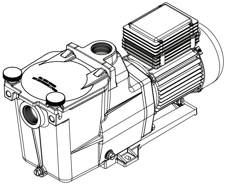 HAYWARD SUPER PUMP, 11 M³/H - HAYWARD - 1