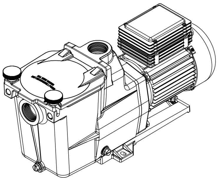 HAYWARD SUPER PUMP, 11 M³/H - HAYWARD - 1