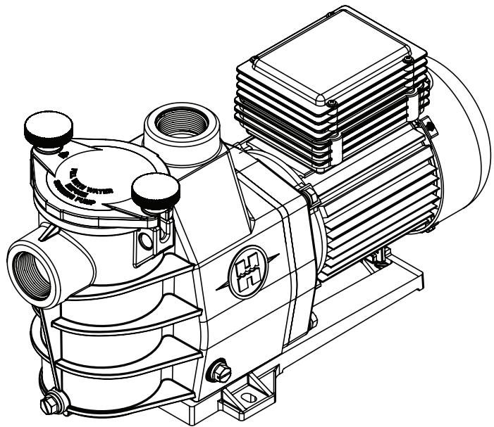 HAYWARD SUPER PUMP, 11 M³/H - HAYWARD - 2