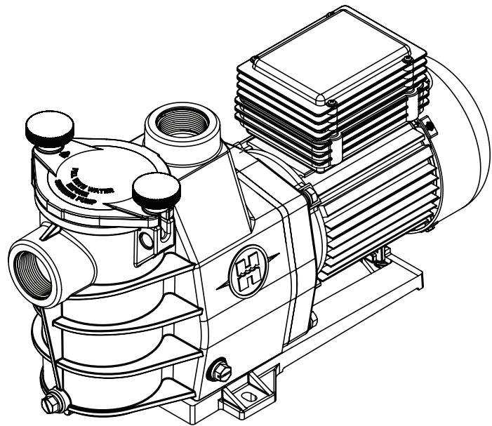 HAYWARD SUPER PUMP, 18 M³/H - HAYWARD - 2