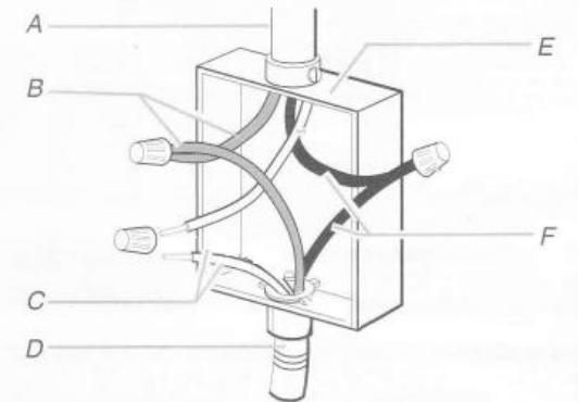 CHEMINARTE ÉLYSéE 5XL - Raccordement via un boitier electrique - 1