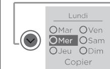 SAUTER IPALA PLINTHE - Je copie ma programmation sur un ou plusieurs jours - 2