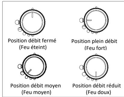 LEMARQUIER PLOA260IV2 - ALLUMAGE DU GRILLOIR PAR CONTACT "PLANCHA" - 1