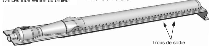 CAMPINGAZ 3 SERIES CLASSIC WLD 2EN1 + PLANCHA - p) Nettoyage et entretien - 2