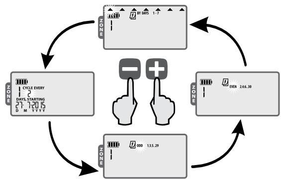 JARDIBRIC WPX - Options des jours d'arrosage - 1