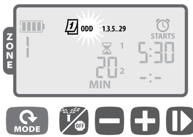 JARDIBRIC WPX - Options des jours d'arrosage - 3