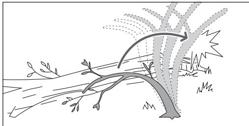 RYOBI RY36CSX35A - Tagliare rami da un albero abbattuto - 2