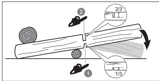 RYOBI RY36CSX35A - Ulkonevien juurien poistaminen - 2